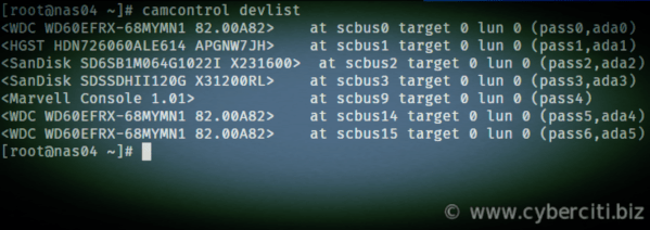 FreeBSD list all physical disk devices and logical units attached