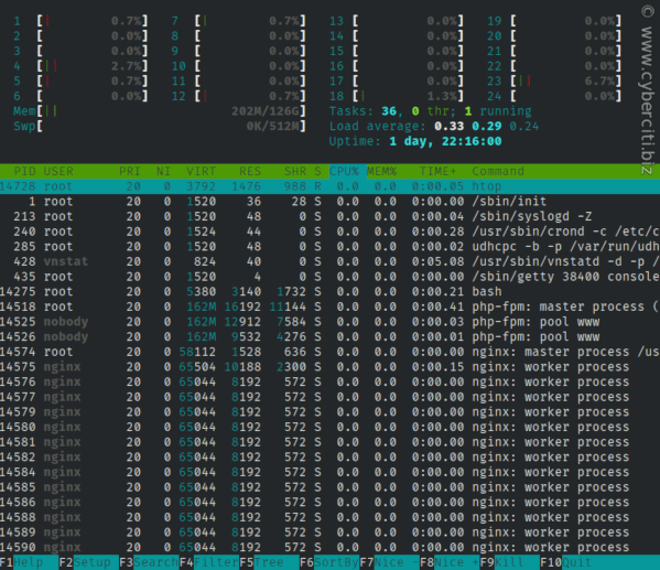 Running htop on an Alpine Linux server
