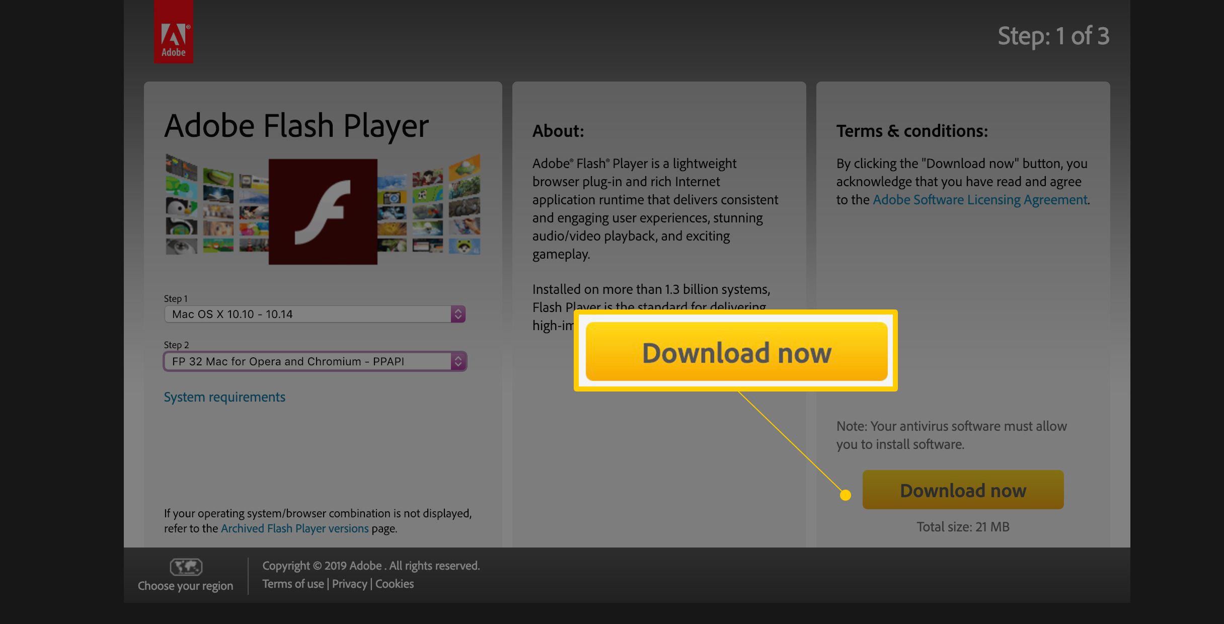 Download now button on Adobe Flash Player page