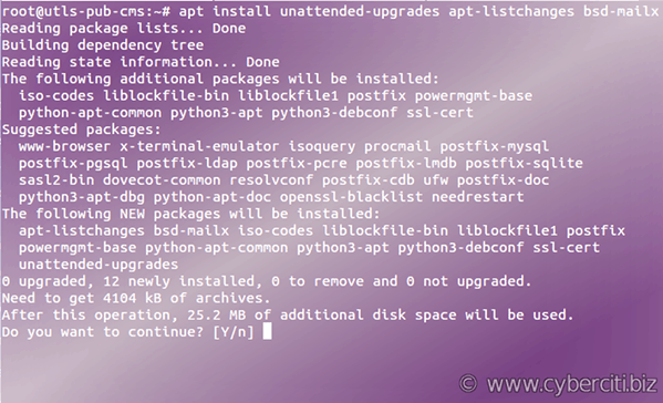 Ubuntu Enable & Setup Automatic Unattended Security Updates