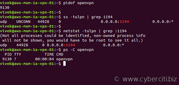 Verify that OpenVPN server runnign and Port is Open on ubuntu Linux