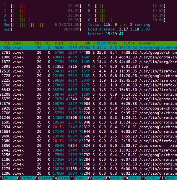 Running htop on an Ubuntu Linux server
